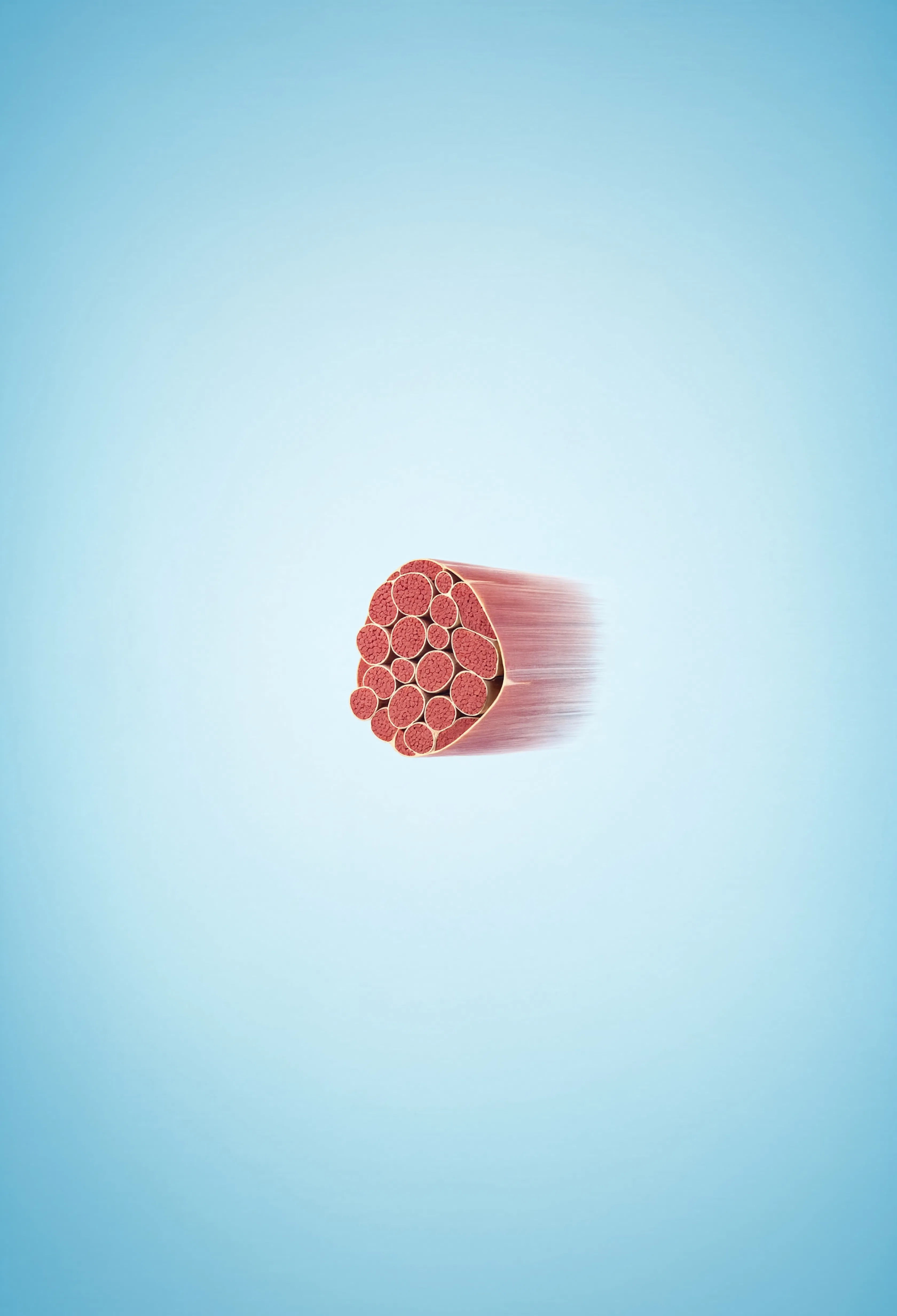 Does Muscle Memory Exist? The Myonuclear and Epigenetic Science of Regaining Lost Fitness